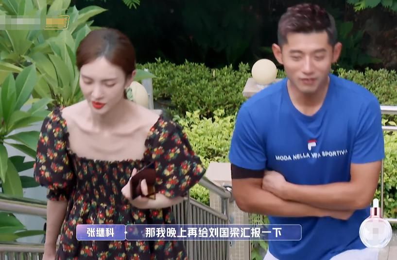 张继科想继续约会,金晨却把他当兄弟,金爸爸的话很在理