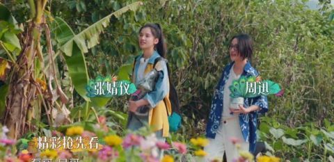 周迅够特别 录制《向往4》 换5套造型 穿4万多件大牌外套干农活