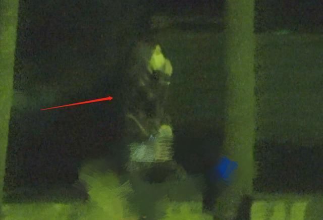 不怕老婆吃醋？汪峰深夜聚会送美女回家，章子怡产后忙捞金显疲惫
