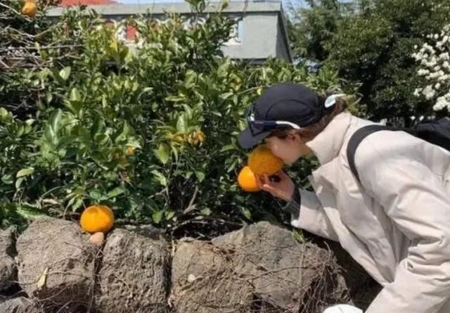 韩智慧婚后的家公开，衣帽间小又乱，妈妈花30万买鱼给女儿补身