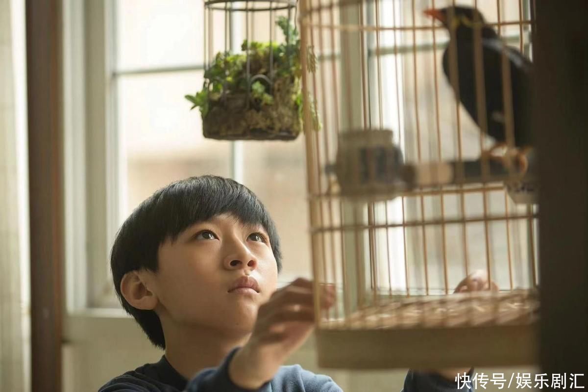 与杨新鸣上演“爷孙囧途”,《川流不“熄”》里的胡昌霖是大熟脸 - 360娱乐,你开心就好