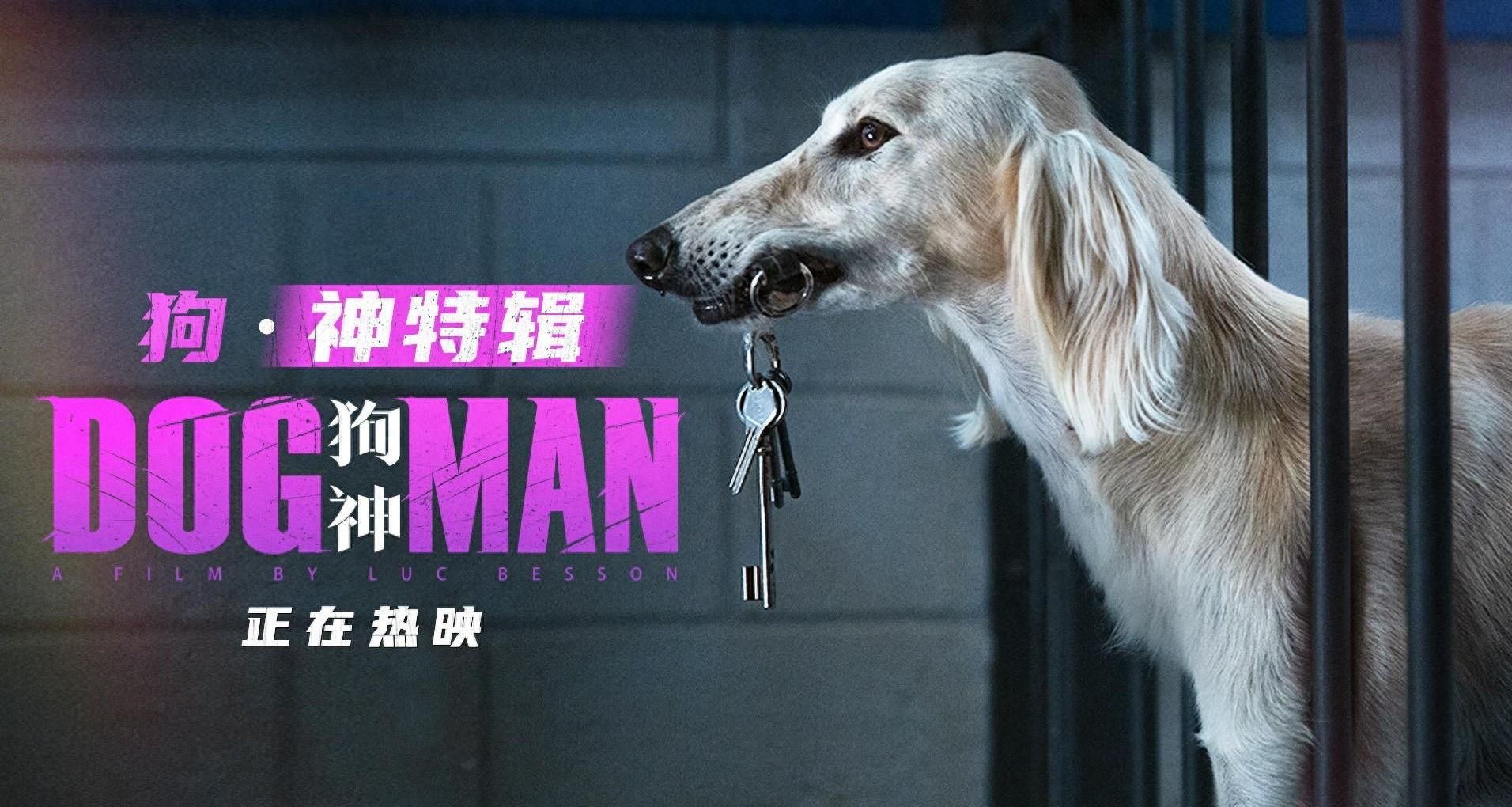 《狗神》片场百狗参演趣事多 “狗·神”特辑解锁戏外小狗日常 - 360娱乐，你开心就好